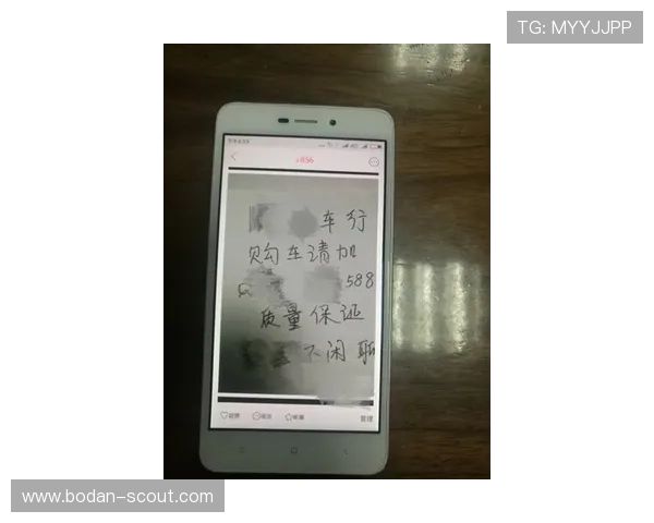 买波胆的血泪教训避坑防骗品牌入口下载评测