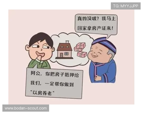 买球站注册避坑指南数字高频玩法防骗攻略